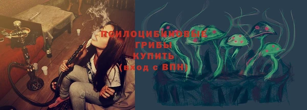 прущий лед Михайлов