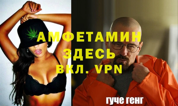 гашик Долгопрудный