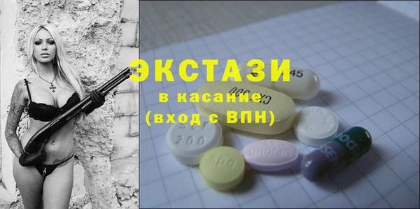 индика Архангельск