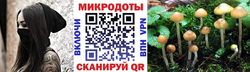 Псилоцибиновые грибы Cubensis Алзамай